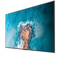 Hisense 100DM66E 100