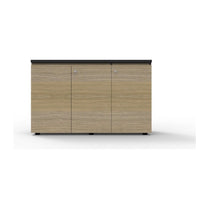 Rapid Infinity Swing Door Cupboard - Deltone Solutions